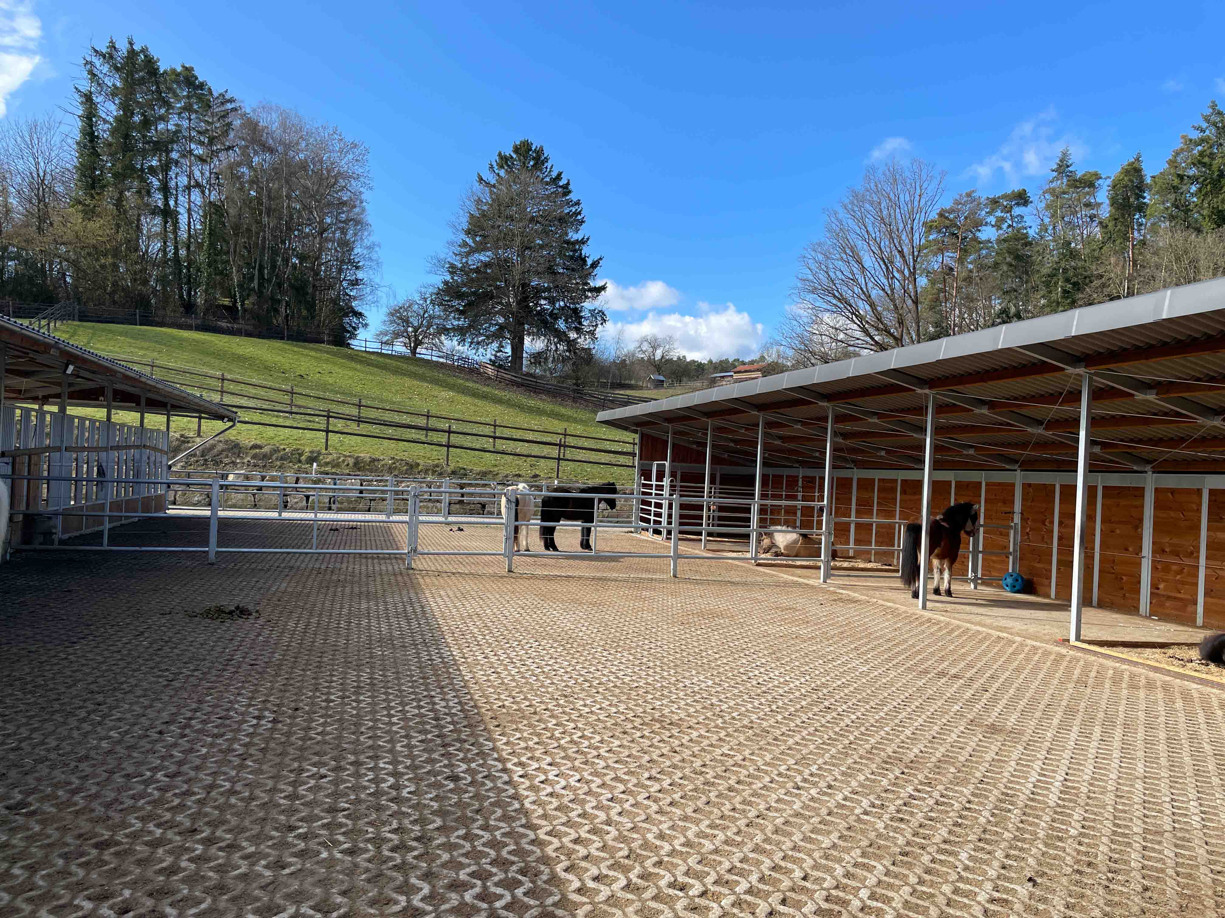 Paddocks Islandpferde von der Wied