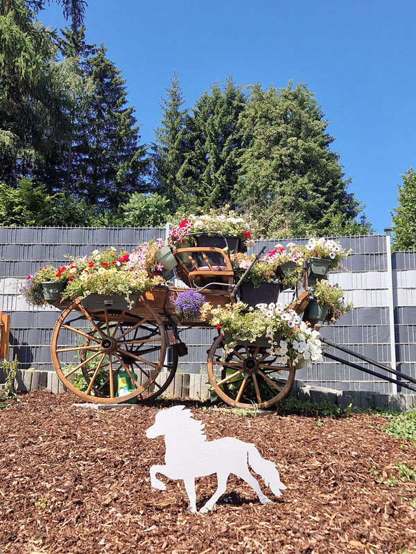 Reitanlage Islandpferde von der Wied