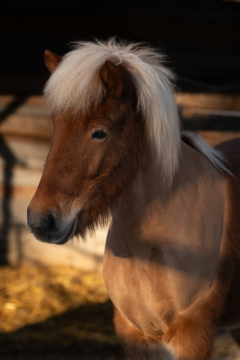 Kleópatra von der Wied