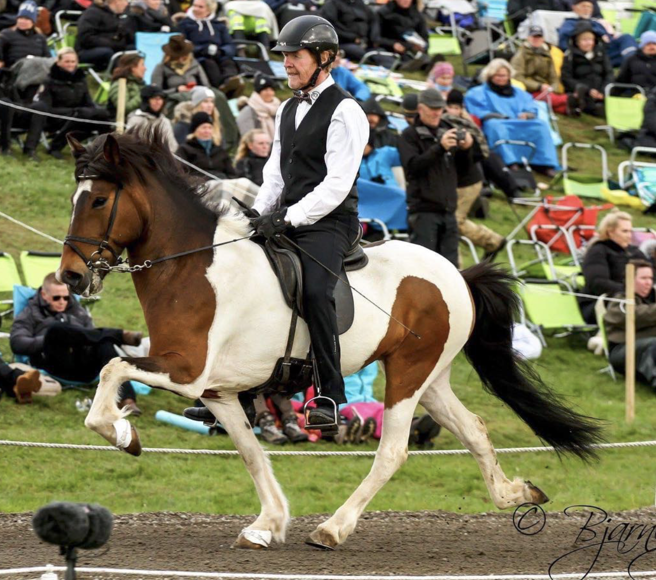 Elva geritten Landsmot