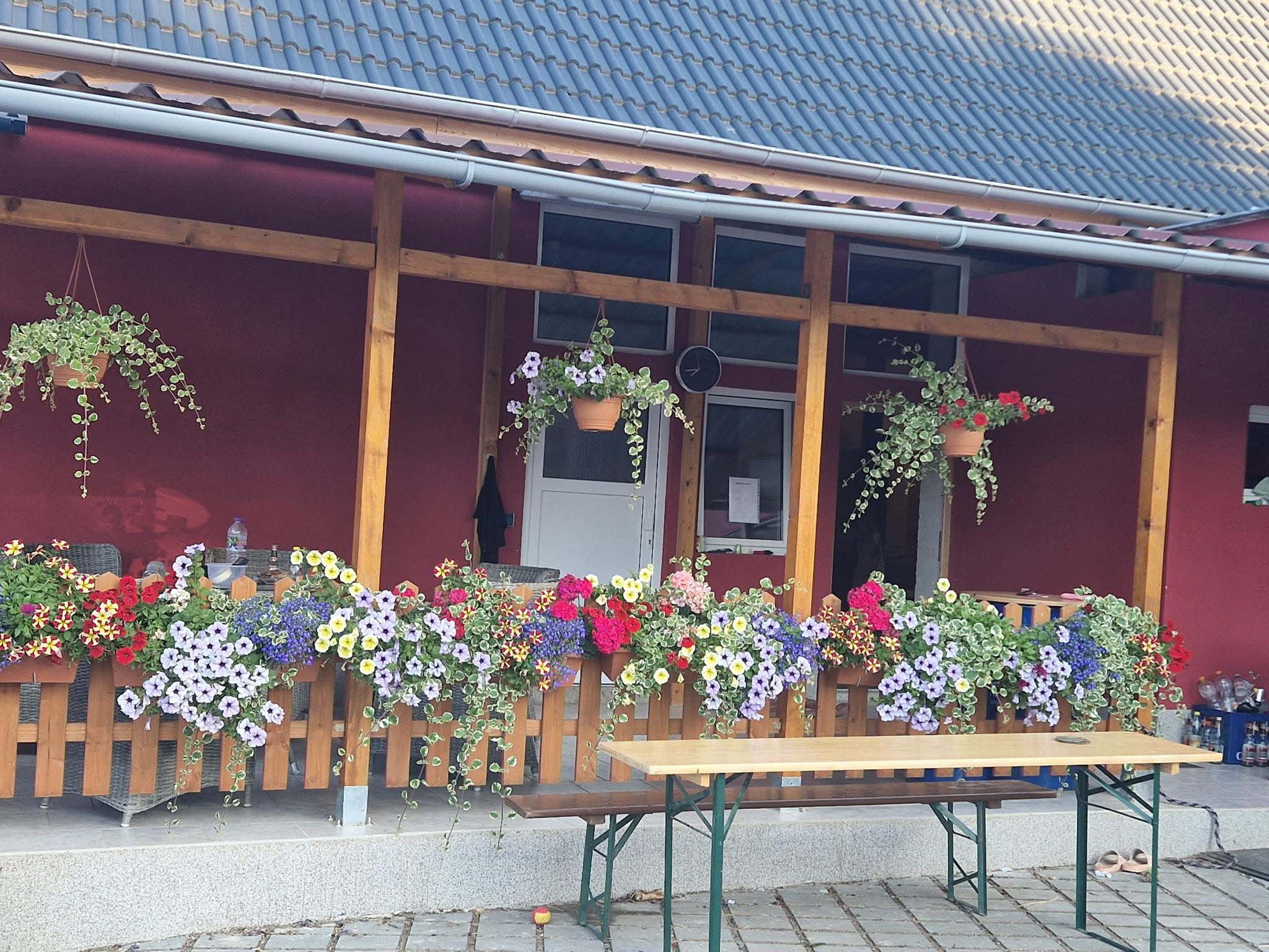 Frühling auf dem Hof