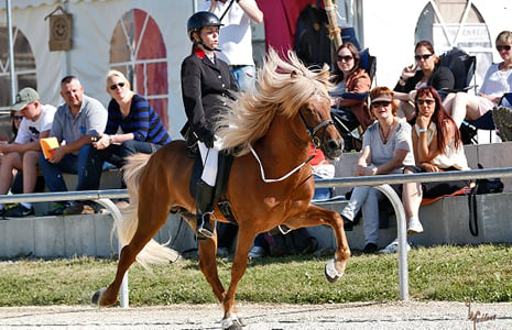Chrissy Seibold reitend